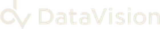 Data Vision